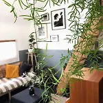 Maison De A Luc Sur 別荘 リュック・シュル・メール