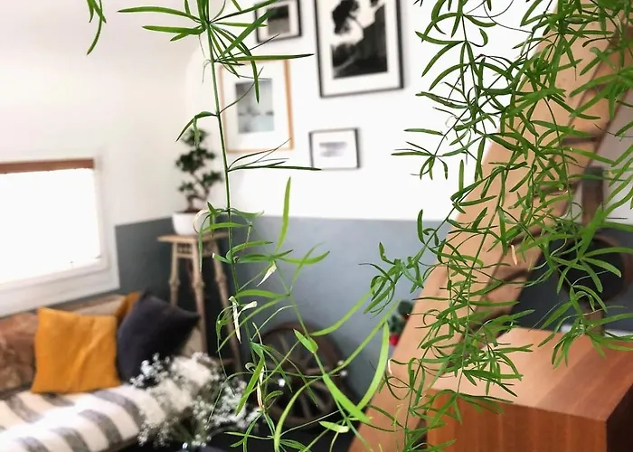 Maison De A Luc Sur 度假居 吕克索梅